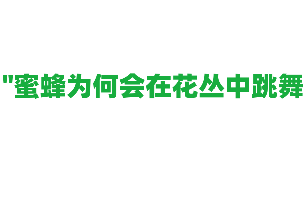 "蜜蜂为何会在花丛中跳舞？"